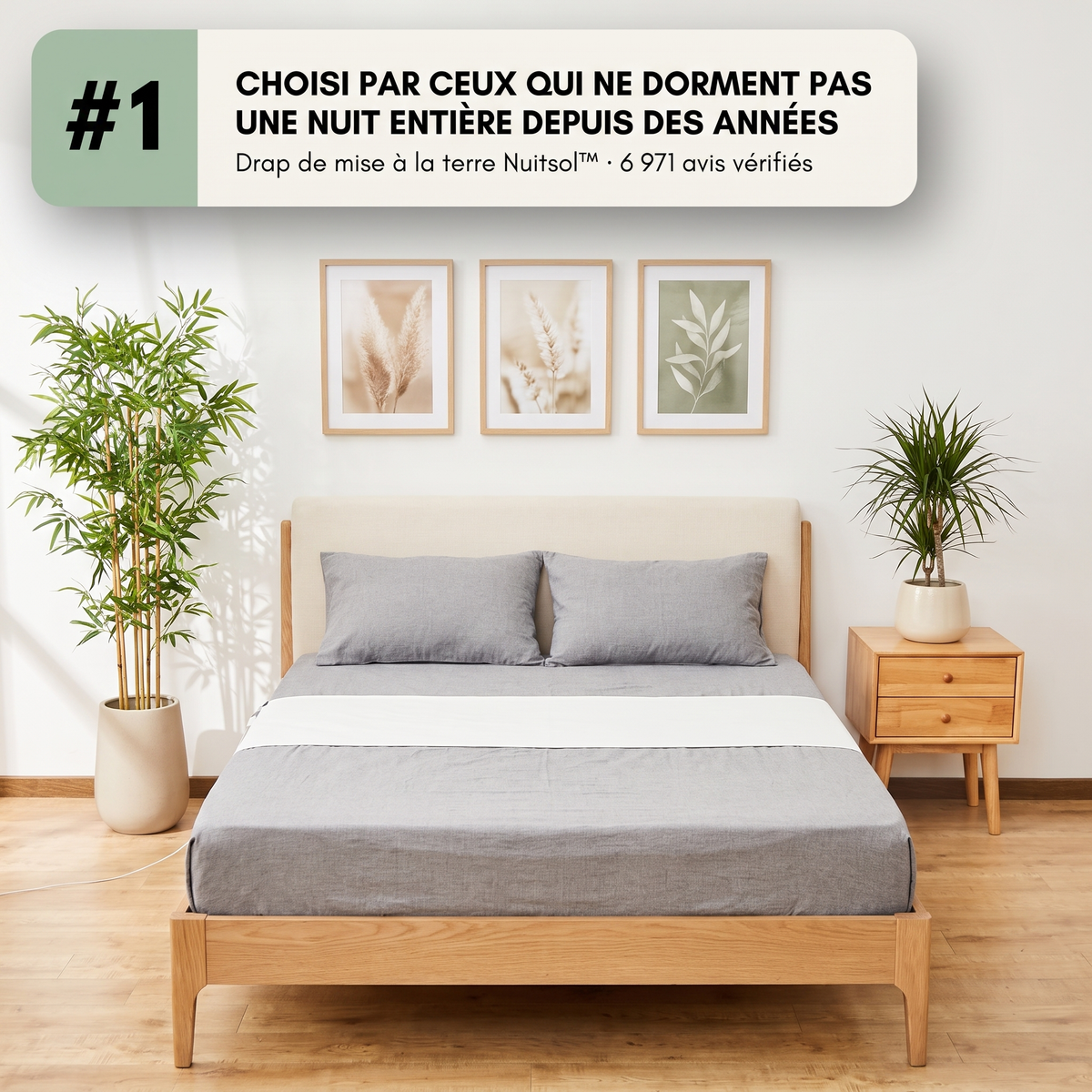 NuitSol™ – Drap de mise à la terre